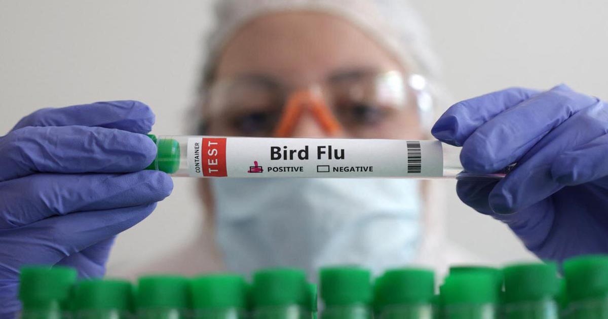 H5N1 Bird Flu Has Mutated to Infect People, Scientists Find